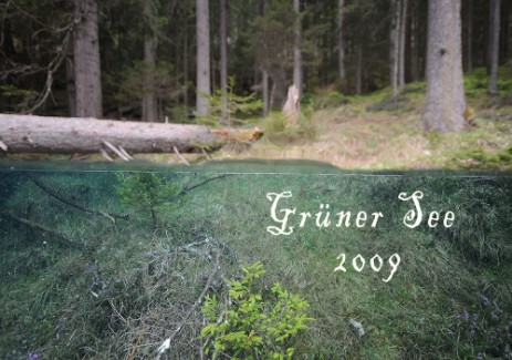 Gruener See 2009