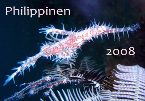 Philippinen 2008
